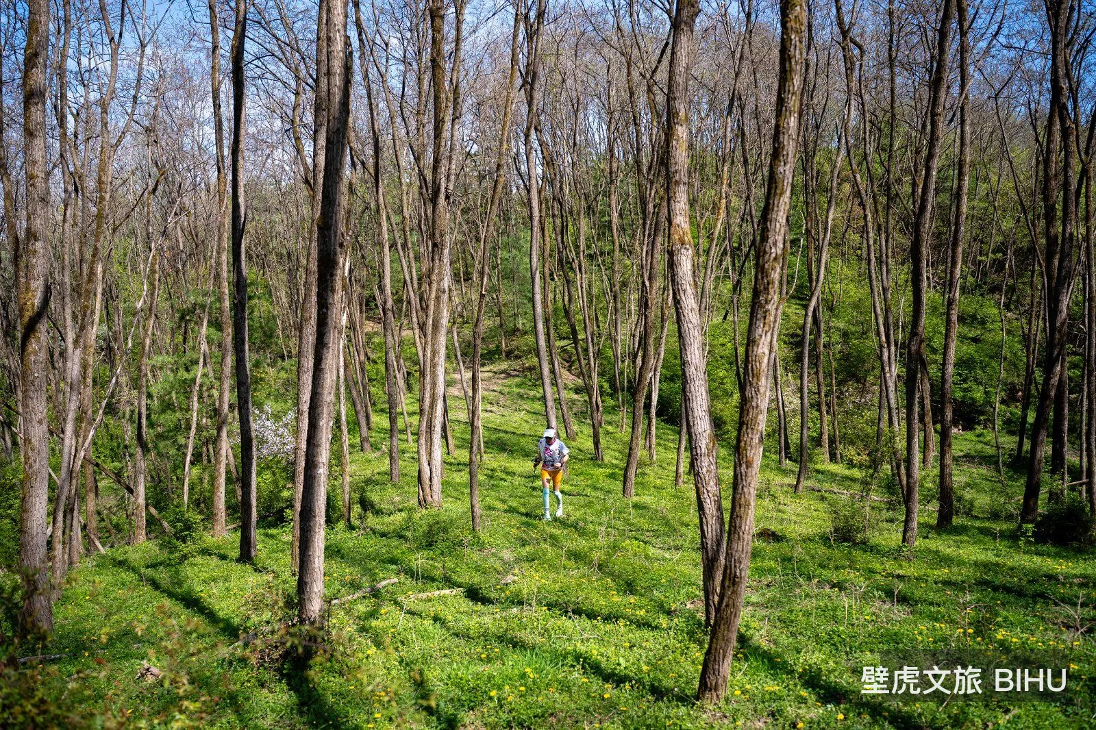 Qingni Ridge Mountain Challenge