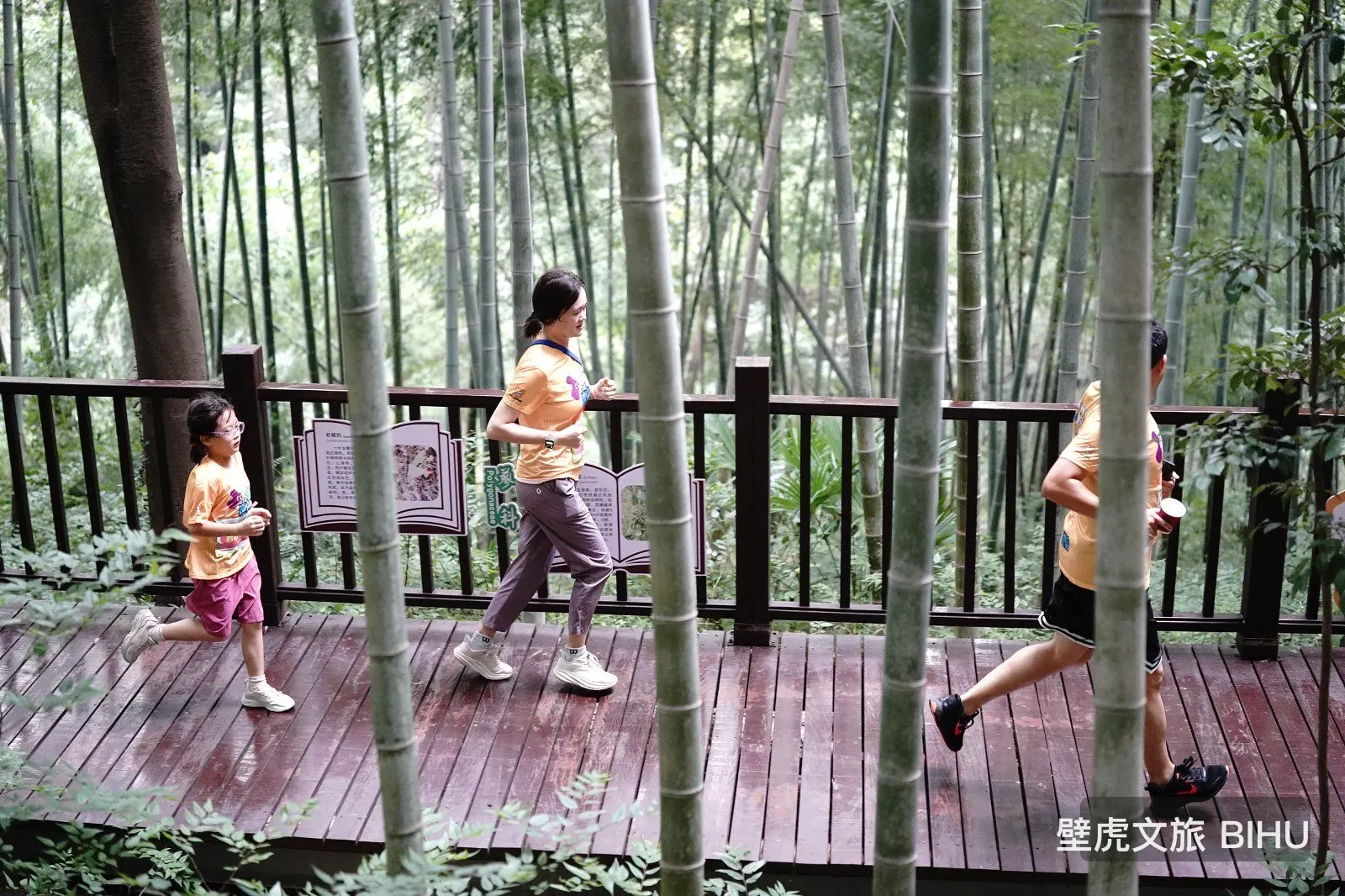 Sheshan Kids Trail