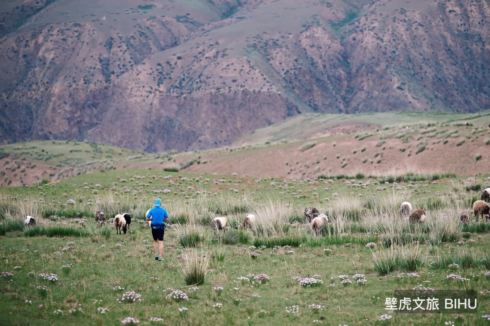 Tongde Plateau Trail
