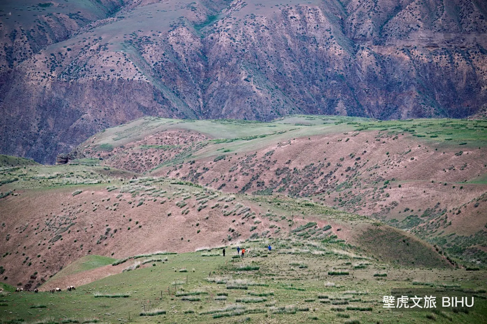 Tongde Plateau Trail